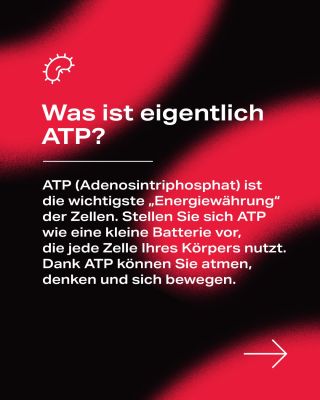 ⚡ ATP – Energie für Ihren Körper Was ist ATP, wie funktioniert es, welche Rolle spielt es in unserem Körper und wie lässt...
