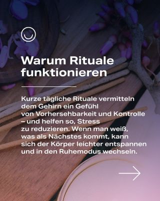 Jeder hat sein eigenes Lieblingsritual. Bei MITO LIGHT® gehört für unser Team die Rotlichttherapie – besonders am Morgen –...