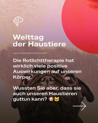 Welttag der Haustiere 🐶🐱🐢 Bei Haustieren können rotes und nahinfrarotes Licht die Wundheilung beschleunigen, die...