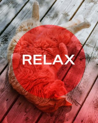 Entspannen Sie sich mit MITO LIGHT 🧘 Rotes Licht wirkt nicht nur auf die Haut, sondern auch auf das Nervensystem. Seine...